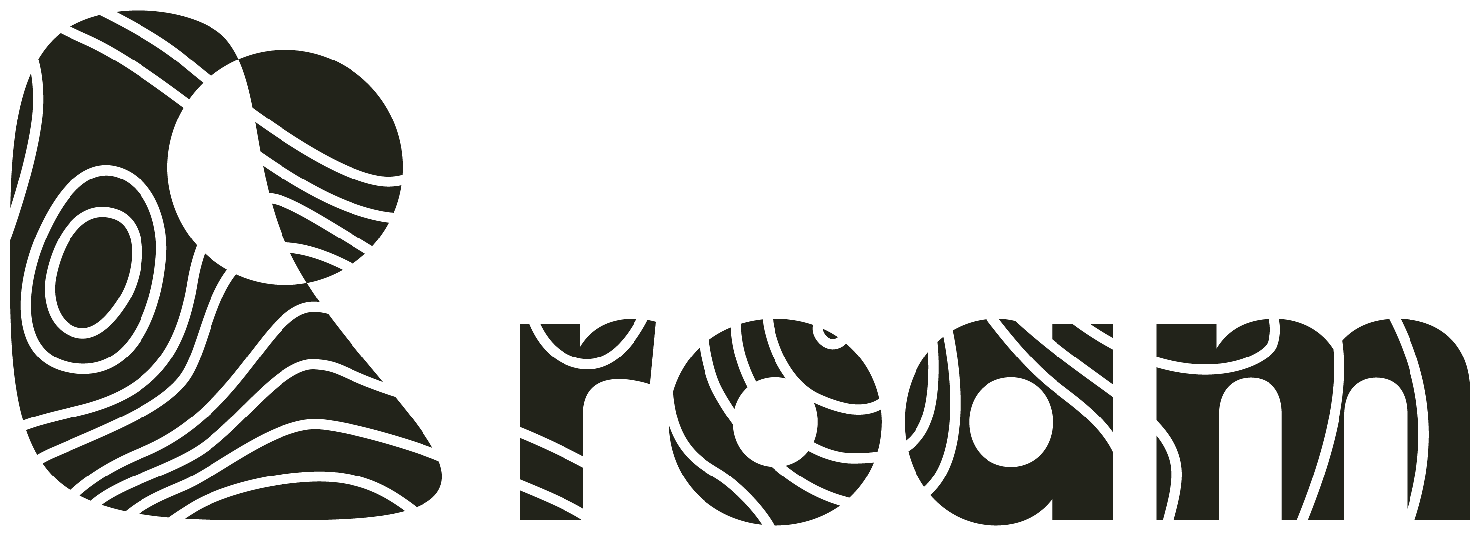 Logo ROAM